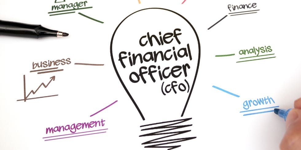 Virtual CFO, Controller, Accountant, Bookkeeper, CPA – Say What?