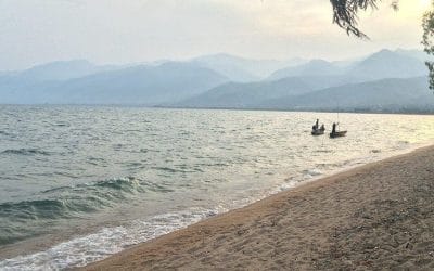 Why You Can Succeed: Separating Lies From Truth in Business