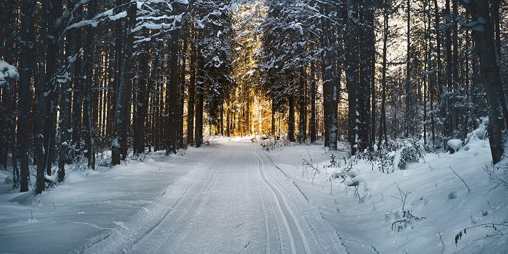 BrightView: Snow Contracts & COVID-19 Impact Revenue