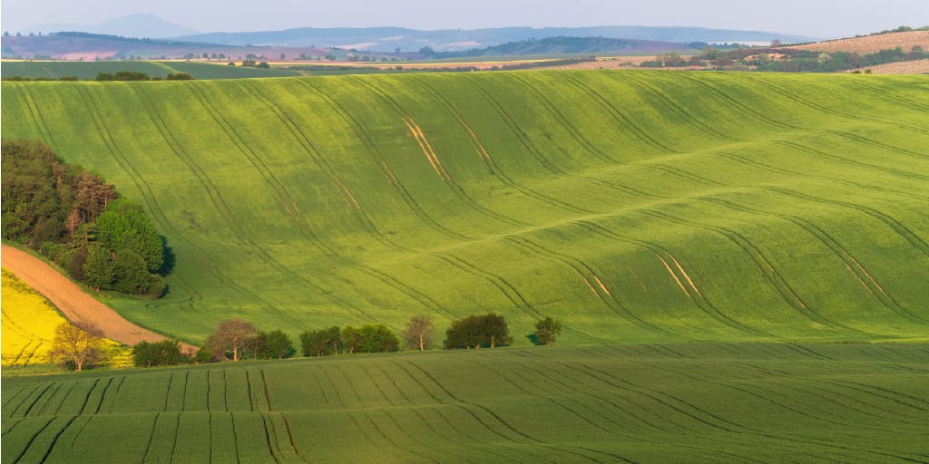 BrightView and the need for growth