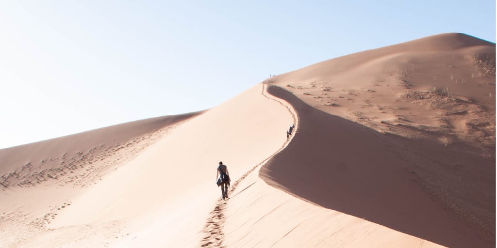 Insights on BrightView’s growth, response to wage inflation