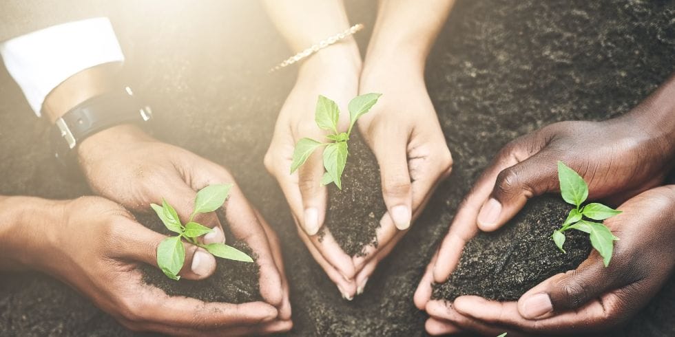 Growth from leadership Three sets of hands holding soil and small plants
