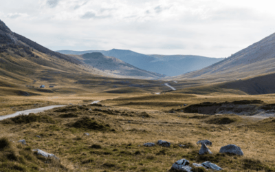 BrightView’s latest earnings report indicates more changes coming in its pursuit of growth