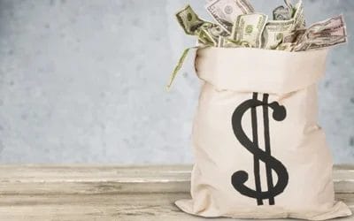 Common traits of large, high-profit-margin companies